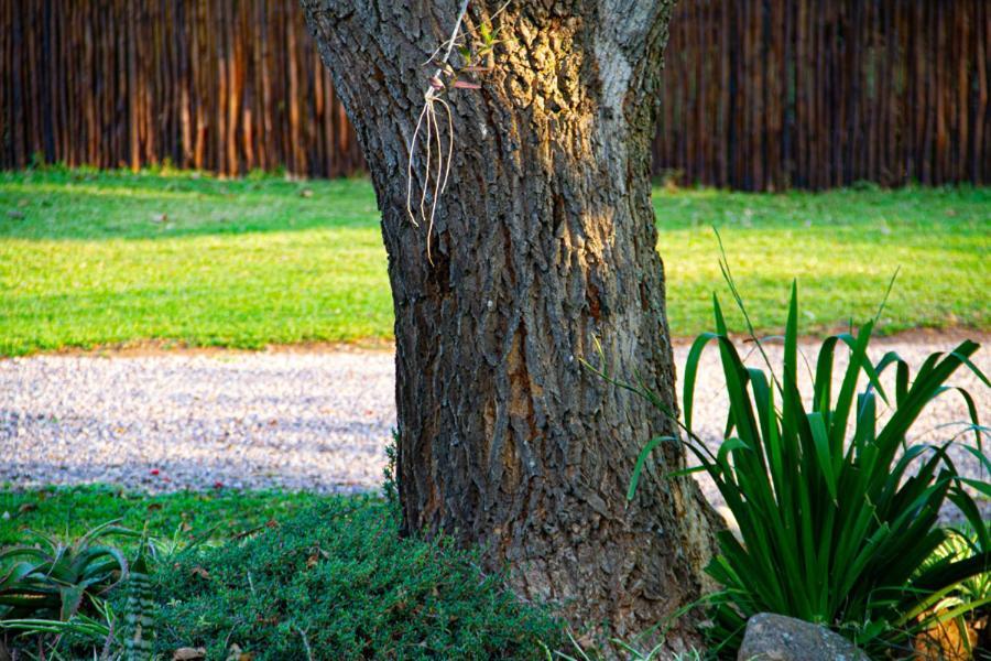 Kangelani Lodge Гіллкрест Екстер'єр фото